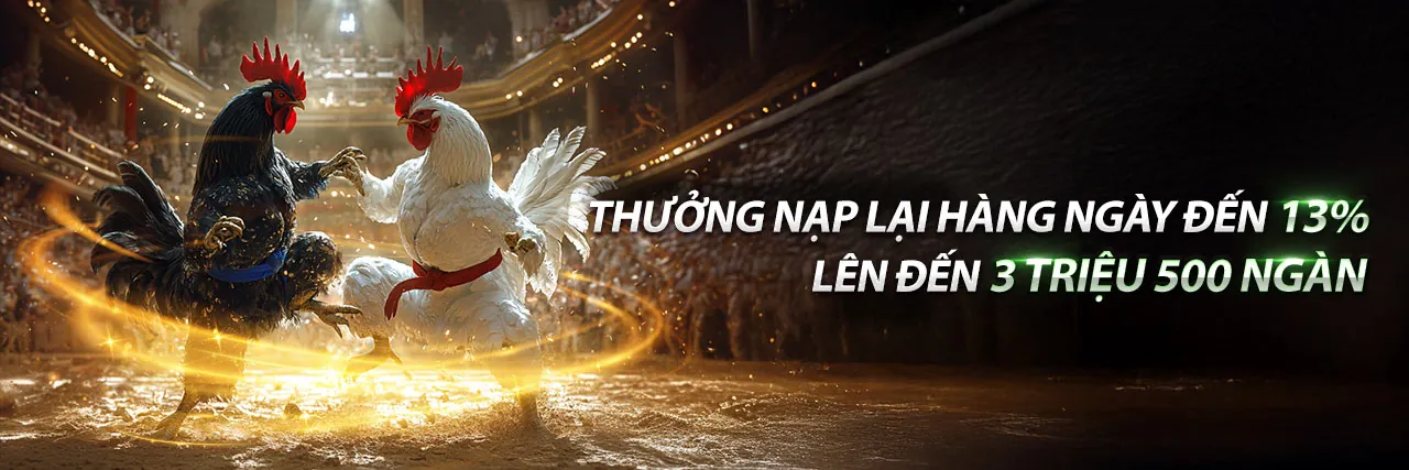 Đá Gà 68 Trực Tiếp
