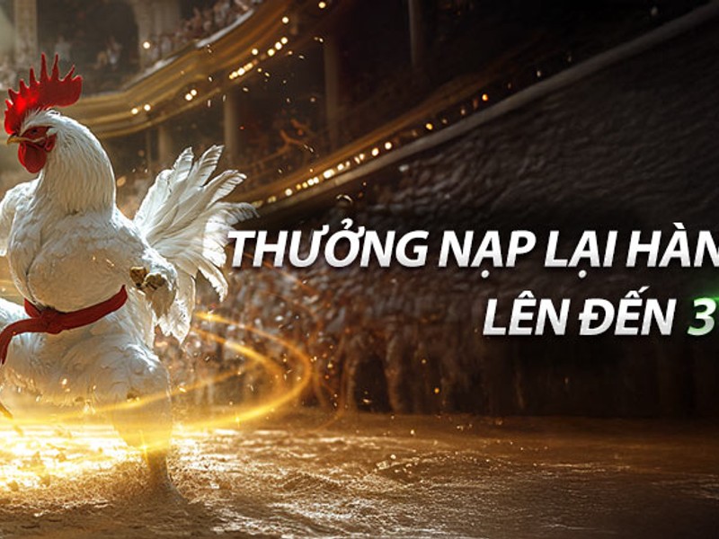 Giao diện bảng điều khiển tài khoản Betvisa hiển thị mã giới thiệu