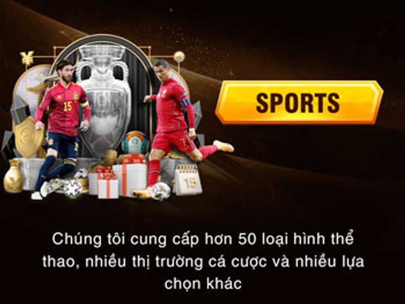 Hình ảnh hoàn trả cá cược thể thao Betvisa